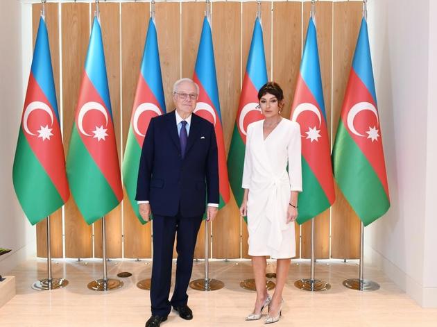 Мехрибан Алиева провела встречу с главой компании "Rothschild Global Financial Advisory"