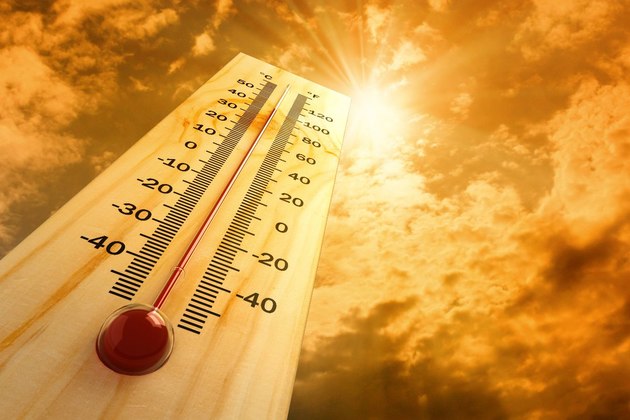 На Ставрополье ожидается 40 градусов 