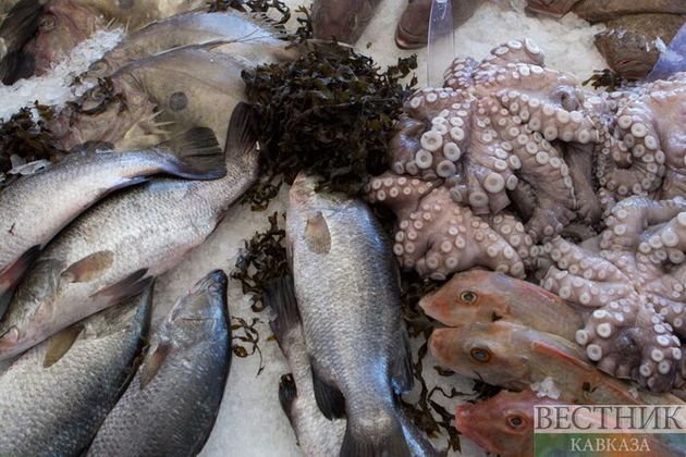 Эксперты установили причины гибели рыбы на Ставрополье 