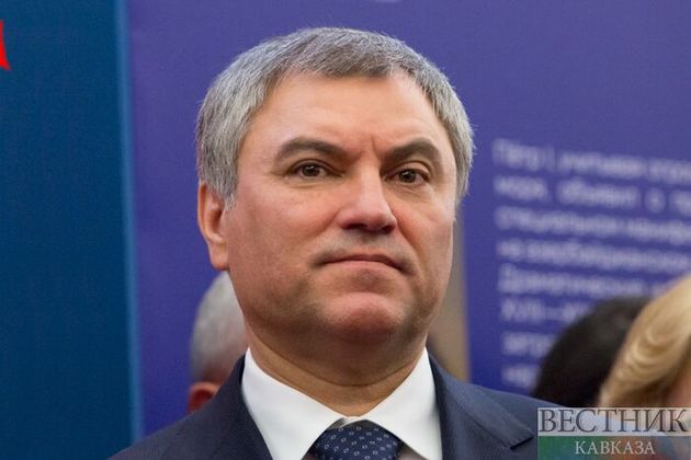 Володин поспорил с Путиным по санкциям против Грузии