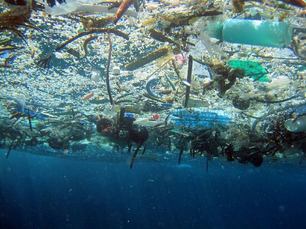 Черноморское побережье Грузии засорено пластиком 