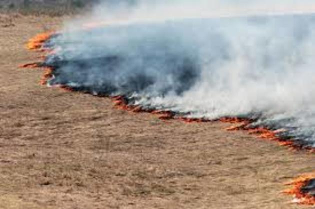 В Алма-Атинской области при тушении степного пожара погибли три человека 