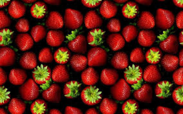 Ставрополье станет крупнейшим поставщиком тепличных ягод