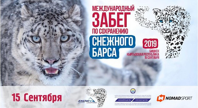 Международный полумарафон по сохранению снежного барса пройдет в Бишкеке