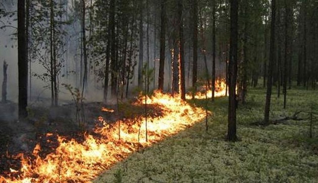 В горах Карачаево-Черкесии загорелся лес 