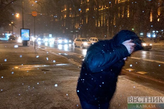 Мокрый снег и дождь обещают в Москве