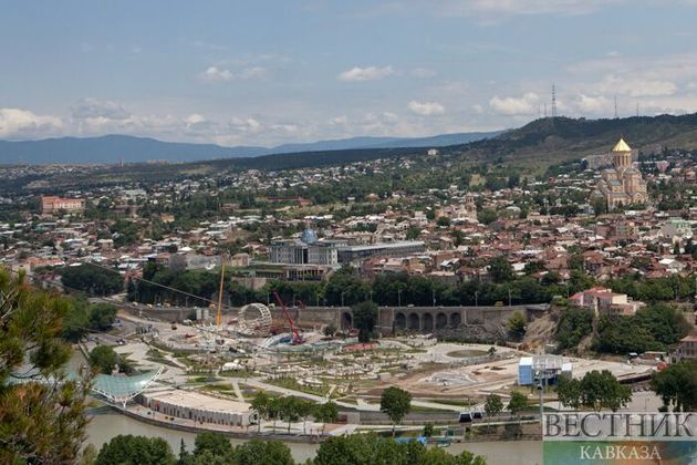 Грузинская оппозиция объявила "войну замков" 