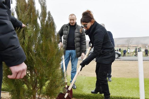 Ильхам Алиев и Мехрибан Алиева приняли участие в акции по посадке деревьев в Шемахинском районе