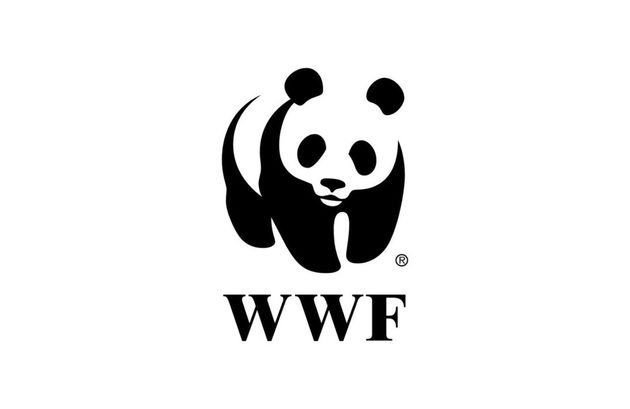 Честин покидает пост директора российского WWF