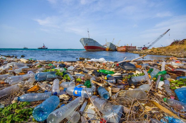 Баренцево море набито пластиком - ученые