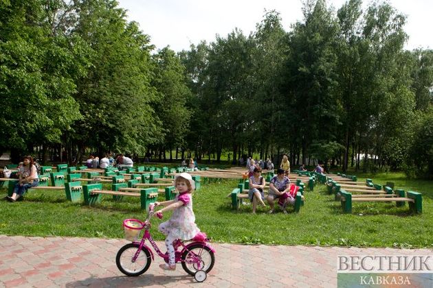 Улицы Краснодара украсят тысячи деревьев