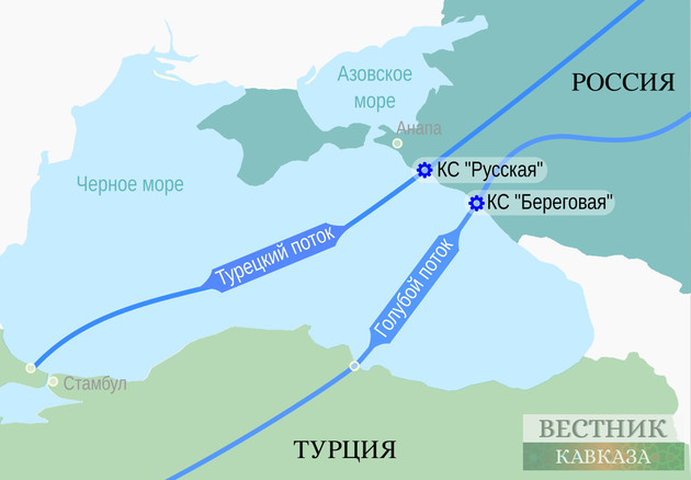 Вучич: сербский участок "Турецкого потока" будет построен до конца года 