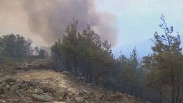 Лесной пожар в Бодруме взят под контроль