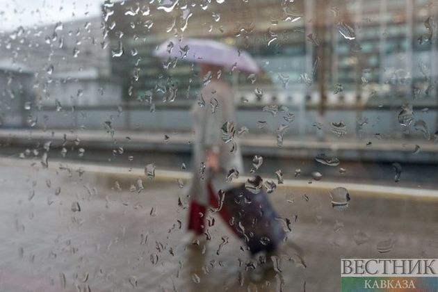 Синоптик центра "Фобос" рассказала о погоде на выходные в столичном регионе