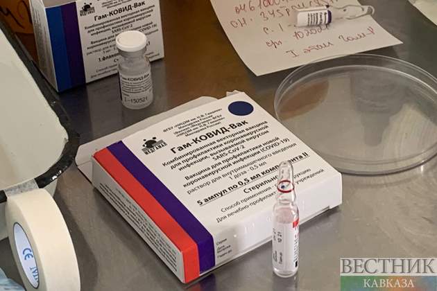 Кишинев готов купить у России антикоронавирусную вакцину "Спутник V"