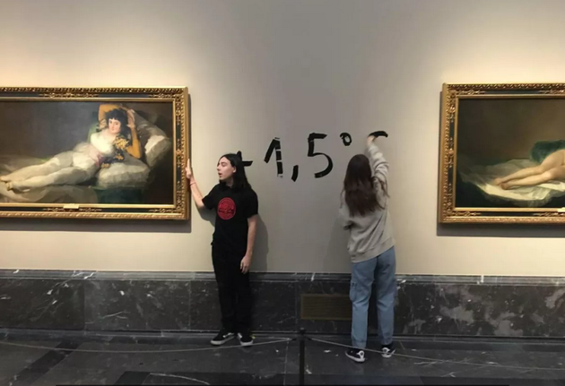 Экоактивисты атаковали картины Гойи в мадридском музее Прадо