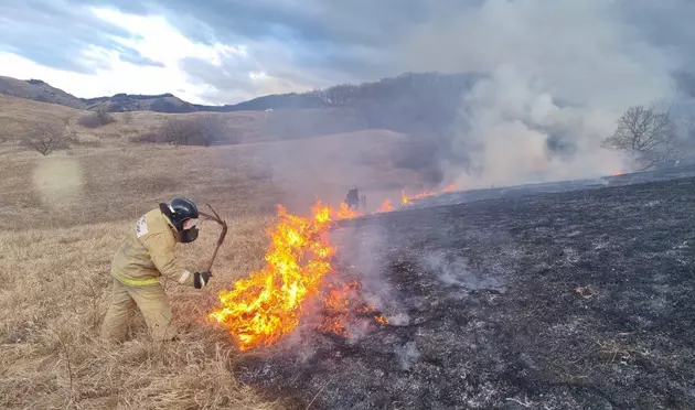 Пожар в районе поселка Подкумок в Предгорном округе Ставропольского края