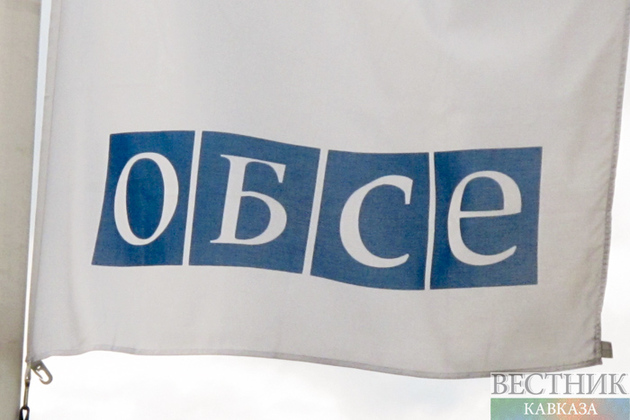 Генсек ОБСЕ приедет в Москву в понедельник