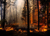 Ингушетия получила новую технику для тушения лесных пожаров