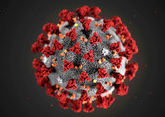Еще у трех жителей Италии обнаружили коронавирус