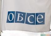 Представителям Крыма не дали выступить в ОБСЕ