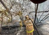 Смертоносный лесной пожар вырос вдвое в Казахстане