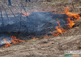 Лесные пожары в Турции: теперь горит и провинция Адана