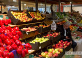 Кубань снабдила Россию почти полумиллионом тонн овощей и фруктов 