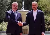 Главы МИД Ирана и Турции поговорили о событиях в Газе