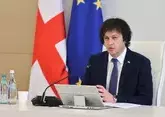Премьер Грузии призвал оппозицию не выходить на акции одновременно с правящей партии