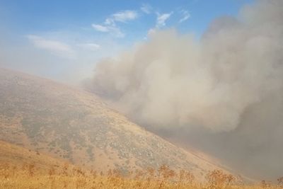 Под Ереваном разгорается пожар у подножья горы Араилер (ВИДЕО)