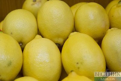 ФАС устроит проверки из-за роста цен на лимоны до 500% 