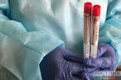 Столичные медики помогут ингушским коллегам в борьбе с коронавирусом