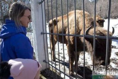 Московский зоопарк 20 и 21 февраля можно будет посетить бесплатно