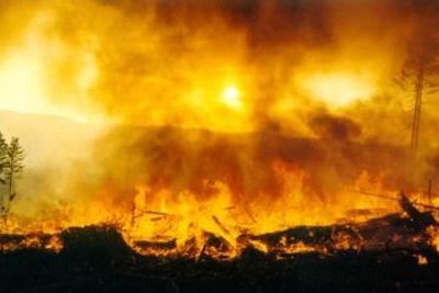 Пожар случился на границе Азербайджана и Армении