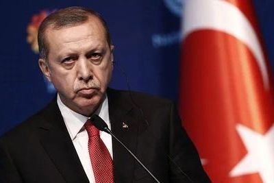 Президент: Турция может ратифицировать Парижское соглашение по климату 
