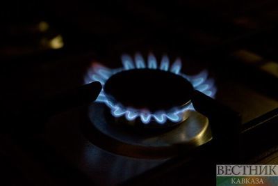В Узбекистане не исключают закупку газа за рубежом зимой