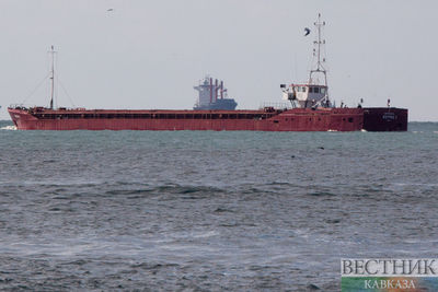 У берегов Ирана потерпело бедствие судно из ОАЭ