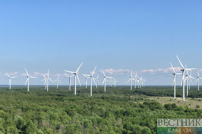 Грузия нацелилась на производство ветрогенераторов для ветряных электростанций