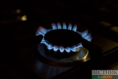 Узбекистан нарастит добычу газа, но делиться им не будет