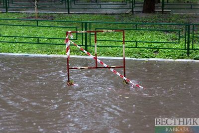 Наводнение в Джизаке унесло жизни четырех человек
