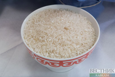Казахстан сократил площадь посева риса