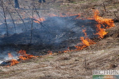 Лесной пожар полыхает в провинции Мугла