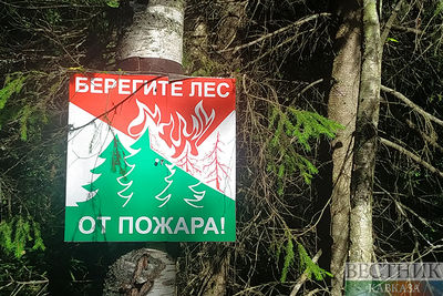Минприроды: лесные пожары в Рязанской области перешли на торфяники