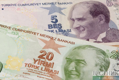 Центробанк Турции в очередной раз снизил процентную ставку
