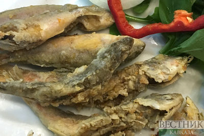 В Муйнаке пройдет гастрофестиваль &quot;99 видов блюд из рыб Аральского моря&quot;