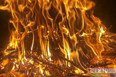 Пожарные справились с природным пожаром под Ростовом