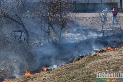 Пожарные потушили лес в Эльбрусском районе