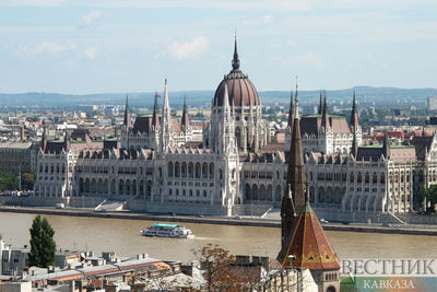 Орбан призвал парламент Венгрии пустить Швецию в НАТО