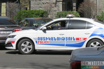 Глава ереванской полиции отделался выговором за беспорядки в столице